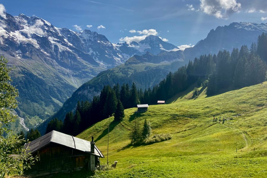 Berglandschaft Hochzeiger
